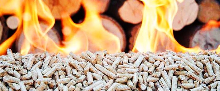 Naturbelassenes Brennholz mit unterschiedlicher Maserung und Struktur