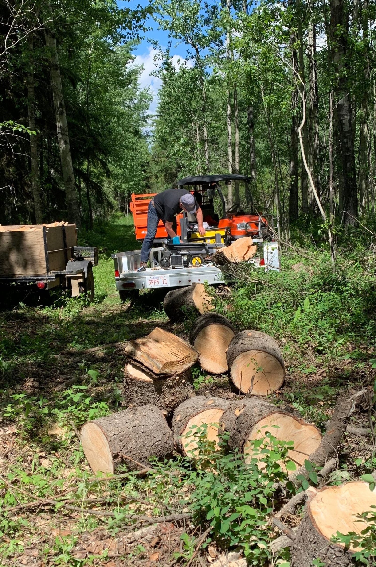 Forstmaschine von Joe's Holz beim Verladen von St&auml;mmen im Wald