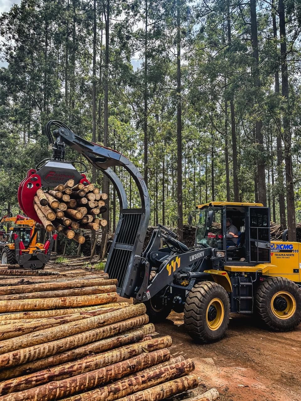 Das Team von Joe's Holz bei der Arbeit im Wald