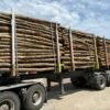 Stammholz Mix Buche & Eiche – 50,2 RM Komplett-LKW