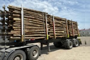 imgi_4_Bioenergiezentrum_Burgau_Buche_3m_unter_20cm-e9e367fe-1920w Stammholz Mix Buche & Eiche – 50,2 RM Komplett-LKW