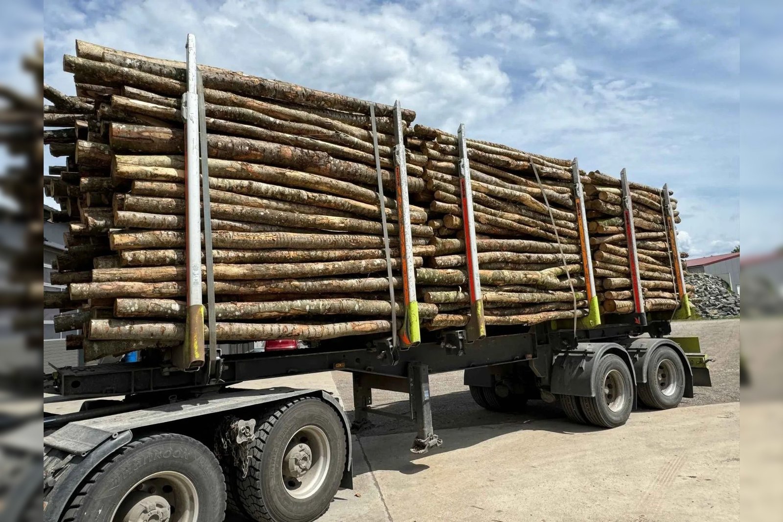 Stammholz Mix Buche & Eiche – 50,2 RM Komplett-LKW