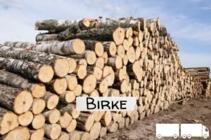 imgi_4_Stammholz+Label+Birke+ganzer+LKW Stammholz Birke – 20 RM (Halb-LKW) / 40 RM (Komplett-LKW)