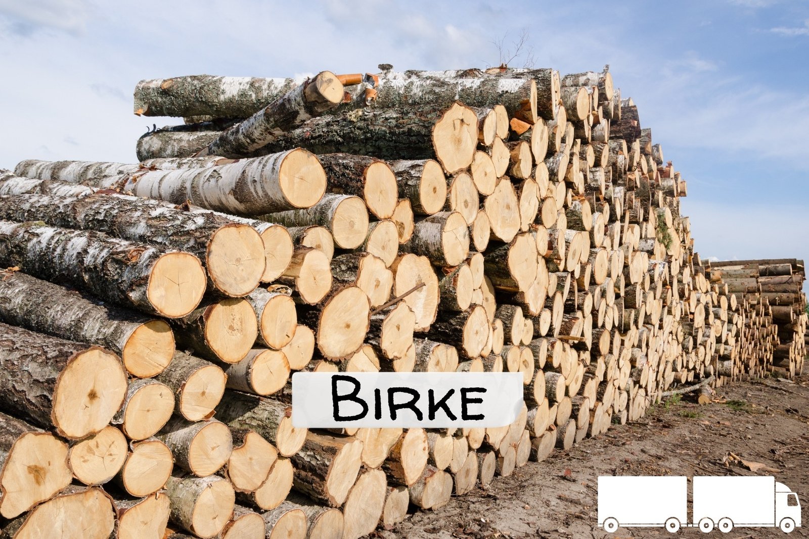 Stammholz Birke – 20 RM (Halb-LKW) / 40 RM (Komplett-LKW)